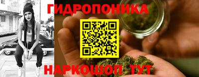 мяу мяу мука Лесосибирск