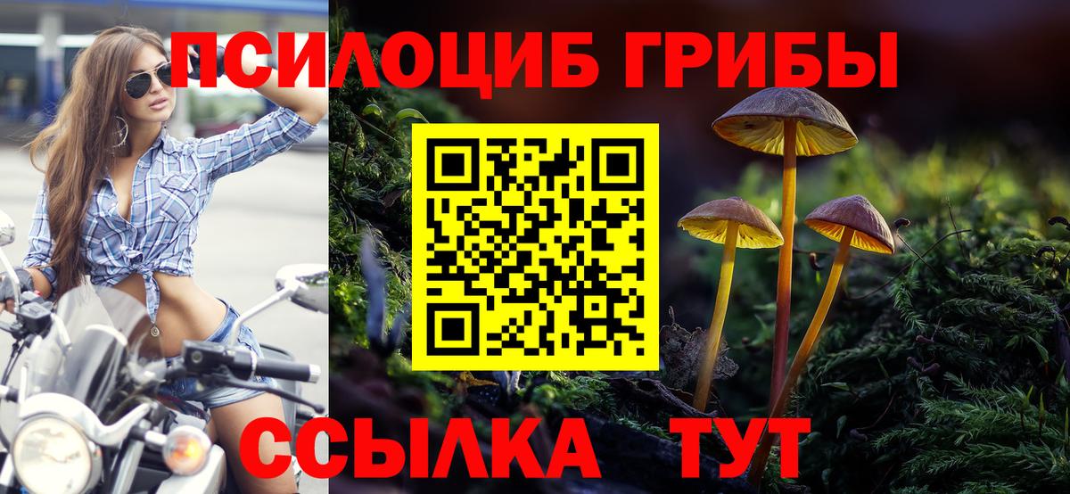 Галлюциногенные грибы мухоморы Гулькевичи